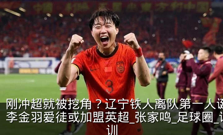 刚冲超就被挖角？辽宁铁人离队第一人诞生，李金羽爱徒或加盟英超_张家鸣_足球圈_试训